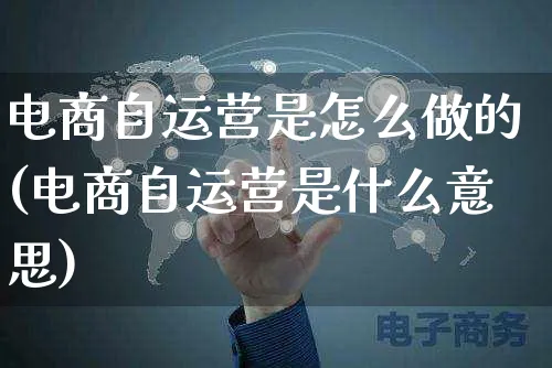 电商自运营是怎么做的(电商自运营是什么意思)_https://www.czttao.com_电商资讯_第1张