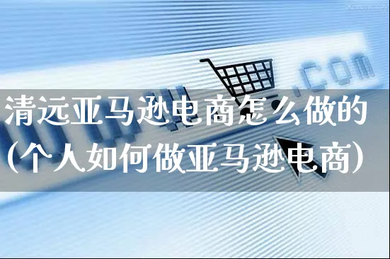 清远亚马逊电商怎么做的(个人如何做亚马逊电商)_https://www.czttao.com_亚马逊电商_第1张