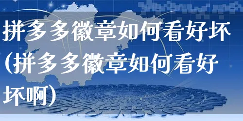 拼多多徽章如何看好坏(拼多多徽章如何看好坏啊)_https://www.czttao.com_店铺规则_第1张