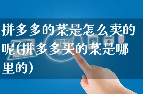 拼多多的菜是怎么卖的呢(拼多多买的菜是哪里的)_https://www.czttao.com_亚马逊电商_第1张