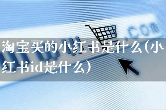 淘宝买的小红书是什么(小红书id是什么)_https://www.czttao.com_小红书_第1张