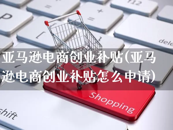 亚马逊电商创业补贴(亚马逊电商创业补贴怎么申请)_https://www.czttao.com_亚马逊电商_第1张