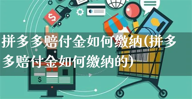 拼多多赔付金如何缴纳(拼多多赔付金如何缴纳的)_https://www.czttao.com_拼多多电商_第1张