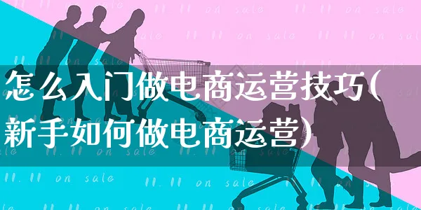 怎么入门做电商运营技巧(新手如何做电商运营)_https://www.czttao.com_电商运营_第1张