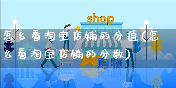 怎么看淘宝店铺的分值(怎么看淘宝店铺的分数)_https://www.czttao.com_电商运营_第1张