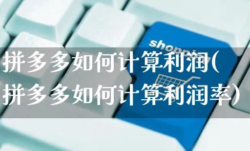 拼多多如何计算利润(拼多多如何计算利润率)_https://www.czttao.com_抖音小店_第1张