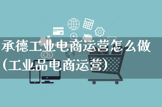 承德工业电商运营怎么做(工业品电商运营)_https://www.czttao.com_电商运营_第1张