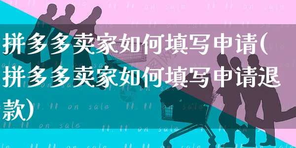 拼多多卖家如何填写申请(拼多多卖家如何填写申请退款)_https://www.czttao.com_闲鱼电商_第1张