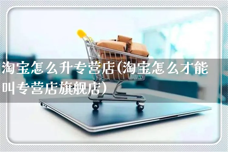 淘宝怎么升专营店(淘宝怎么才能叫专营店旗舰店)_https://www.czttao.com_电商问答_第1张