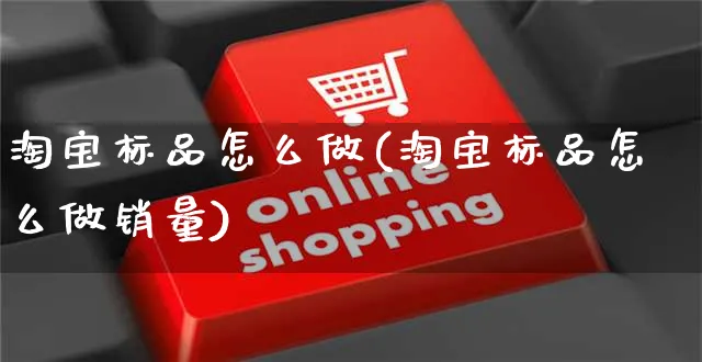 淘宝标品怎么做(淘宝标品怎么做销量)_https://www.czttao.com_淘宝电商_第1张