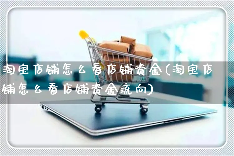 淘宝店铺怎么看店铺资金(淘宝店铺怎么看店铺资金流向)_https://www.czttao.com_亚马逊电商_第1张