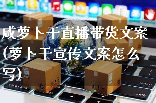 咸萝卜干直播带货文案(萝卜干宣传文案怎么写)_https://www.czttao.com_视频/直播带货_第1张