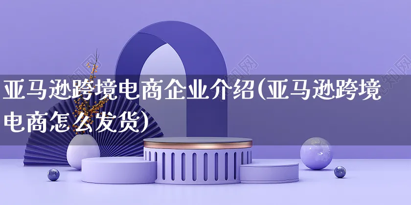 亚马逊跨境电商企业介绍(亚马逊跨境电商怎么发货)_https://www.czttao.com_亚马逊电商_第1张