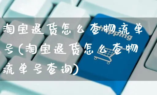 淘宝退货怎么查物流单号(淘宝退货怎么查物流单号查询)_https://www.czttao.com_电商资讯_第1张