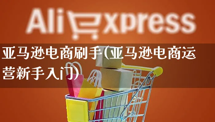 亚马逊电商刷手(亚马逊电商运营新手入门)_https://www.czttao.com_亚马逊电商_第1张