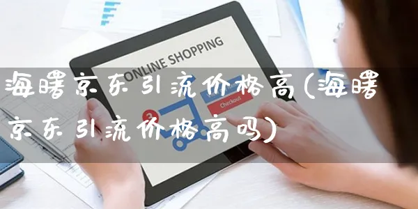 海曙京东引流价格高(海曙京东引流价格高吗)_https://www.czttao.com_京东电商_第1张