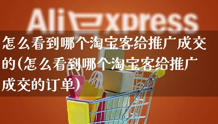 怎么看到哪个淘宝客给推广成交的(怎么看到哪个淘宝客给推广成交的订单)_https://www.czttao.com_小红书_第1张