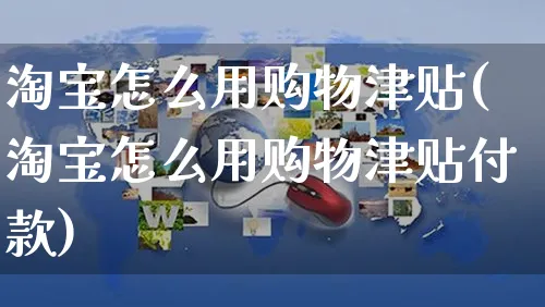 淘宝怎么用购物津贴(淘宝怎么用购物津贴付款)_https://www.czttao.com_拼多多电商_第1张