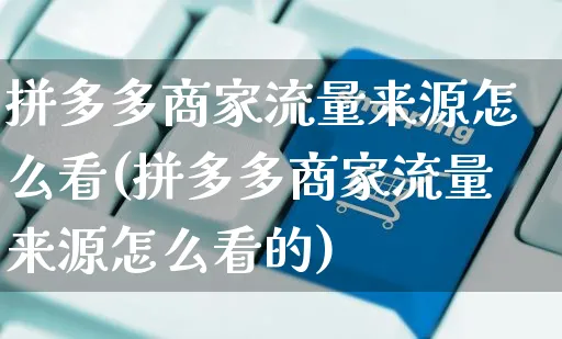 拼多多商家流量来源怎么看(拼多多商家流量来源怎么看的)_https://www.czttao.com_京东电商_第1张