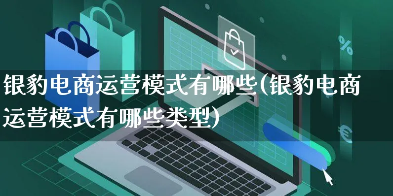 银豹电商运营模式有哪些(银豹电商运营模式有哪些类型)_https://www.czttao.com_电商资讯_第1张