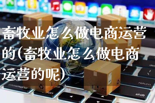 畜牧业怎么做电商运营的(畜牧业怎么做电商运营的呢)_https://www.czttao.com_电商运营_第1张