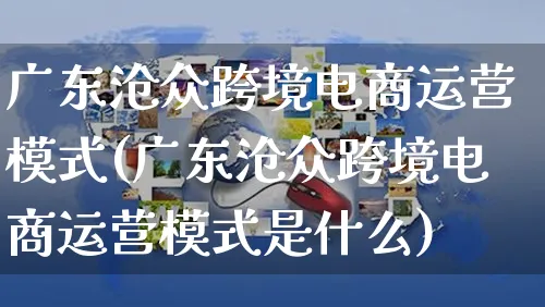 广东沧众跨境电商运营模式(广东沧众跨境电商运营模式是什么)_https://www.czttao.com_电商资讯_第1张