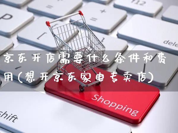 京东开店需要什么条件和费用(想开京东家电专卖店)_https://www.czttao.com_电商资讯_第1张