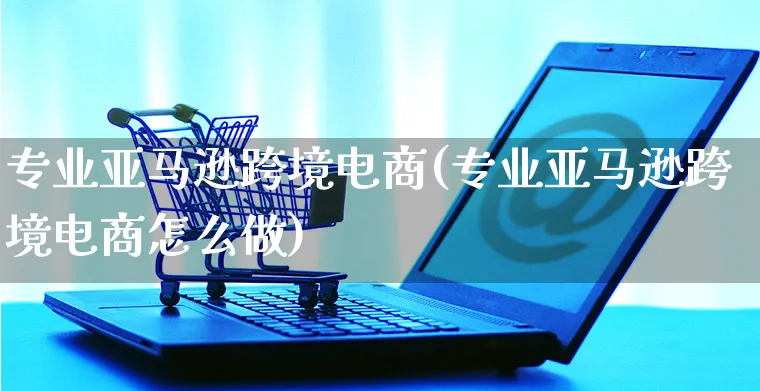 专业亚马逊跨境电商(专业亚马逊跨境电商怎么做)_https://www.czttao.com_亚马逊电商_第1张