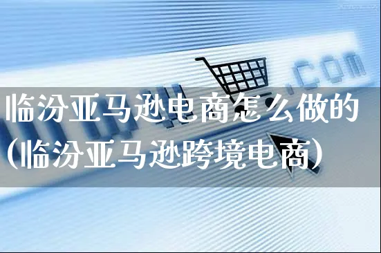 临汾亚马逊电商怎么做的(临汾亚马逊跨境电商)_https://www.czttao.com_亚马逊电商_第1张