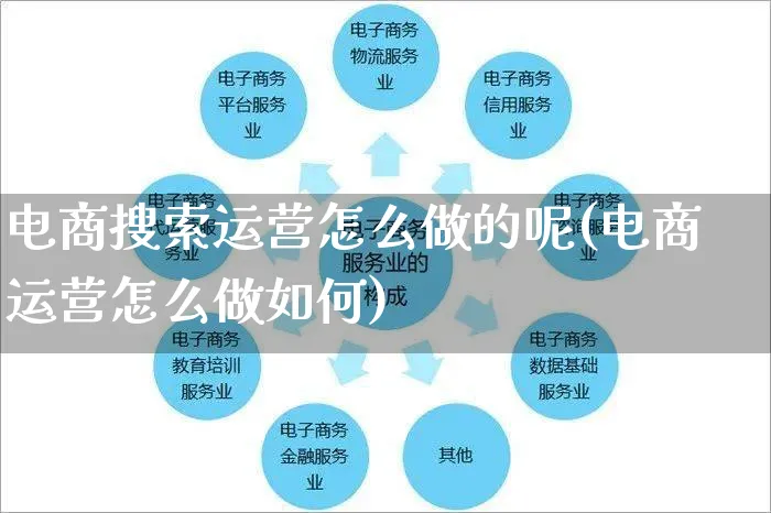 电商搜索运营怎么做的呢(电商运营怎么做如何)_https://www.czttao.com_电商资讯_第1张