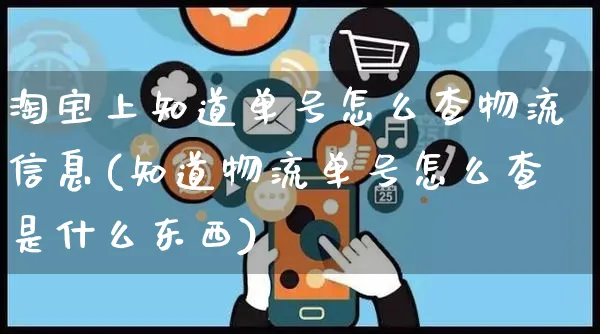 淘宝上知道单号怎么查物流信息(知道物流单号怎么查是什么东西)_https://www.czttao.com_亚马逊电商_第1张