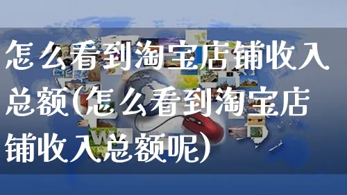 怎么看到淘宝店铺收入总额(怎么看到淘宝店铺收入总额呢)_https://www.czttao.com_淘宝电商_第1张