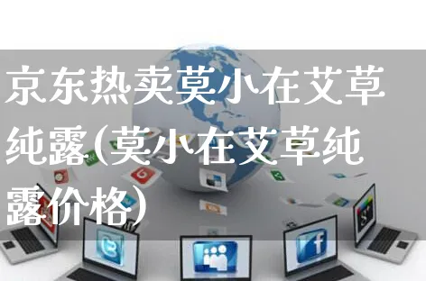 京东热卖莫小在艾草纯露(莫小在艾草纯露价格)_https://www.czttao.com_京东电商_第1张