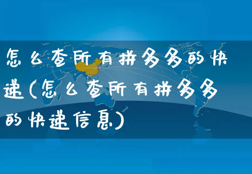 怎么查所有拼多多的快递(怎么查所有拼多多的快递信息)_https://www.czttao.com_京东电商_第1张