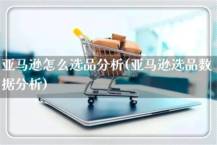 亚马逊怎么选品分析(亚马逊选品数据分析)_https://www.czttao.com_亚马逊电商_第1张