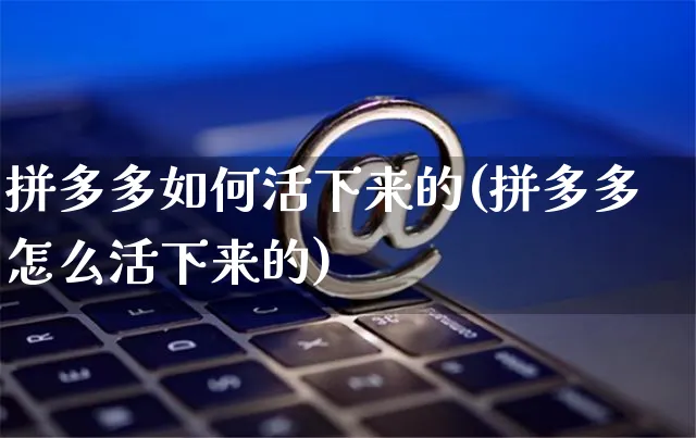 拼多多如何活下来的(拼多多怎么活下来的)_https://www.czttao.com_店铺规则_第1张