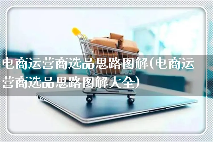 电商运营商选品思路图解(电商运营商选品思路图解大全)_https://www.czttao.com_电商运营_第1张