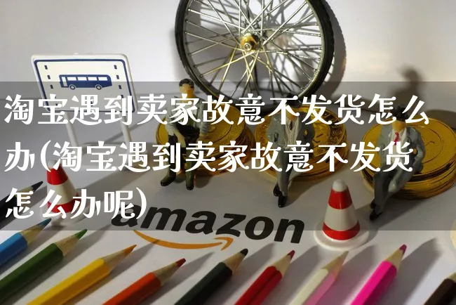 淘宝遇到卖家故意不发货怎么办(淘宝遇到卖家故意不发货怎么办呢)_https://www.czttao.com_店铺装修_第1张