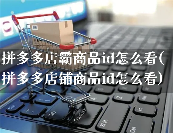 拼多多店霸商品id怎么看(拼多多店铺商品id怎么看)_https://www.czttao.com_开店技巧_第1张