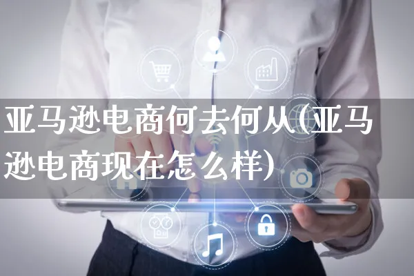 亚马逊电商何去何从(亚马逊电商现在怎么样)_https://www.czttao.com_亚马逊电商_第1张