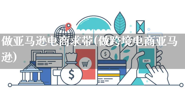 做亚马逊电商求带(做跨境电商亚马逊)_https://www.czttao.com_亚马逊电商_第1张