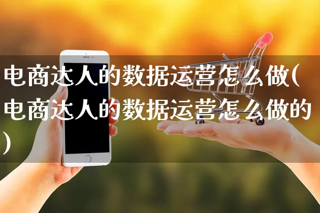 电商达人的数据运营怎么做(电商达人的数据运营怎么做的)_https://www.czttao.com_电商资讯_第1张