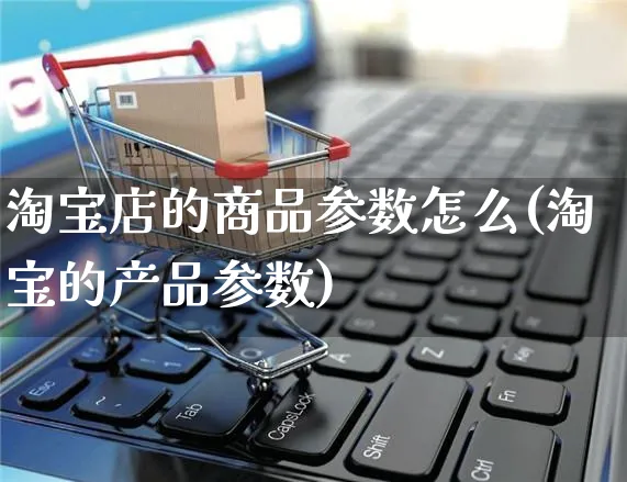 淘宝店的商品参数怎么(淘宝的产品参数)_https://www.czttao.com_视频/直播带货_第1张