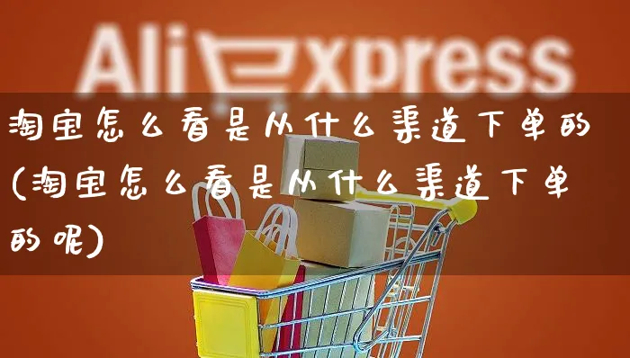 淘宝怎么看是从什么渠道下单的(淘宝怎么看是从什么渠道下单的呢)_https://www.czttao.com_拼多多电商_第1张