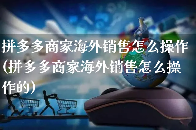 拼多多商家海外销售怎么操作(拼多多商家海外销售怎么操作的)_https://www.czttao.com_亚马逊电商_第1张