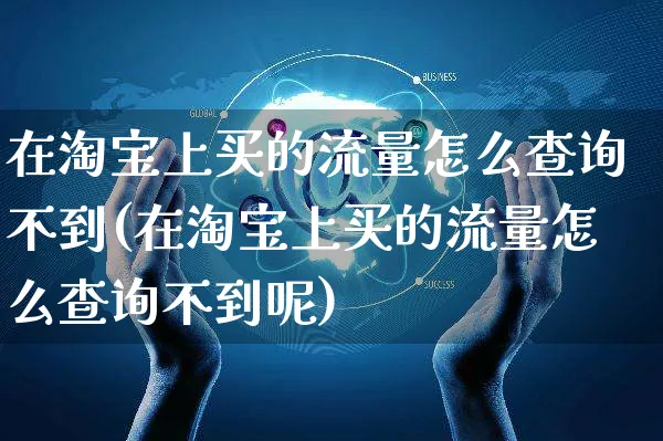 在淘宝上买的流量怎么查询不到(在淘宝上买的流量怎么查询不到呢)_https://www.czttao.com_店铺装修_第1张