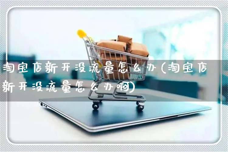 淘宝店新开没流量怎么办(淘宝店新开没流量怎么办啊)_https://www.czttao.com_店铺装修_第1张