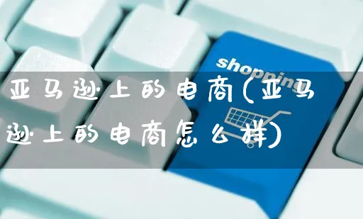 亚马逊上的电商(亚马逊上的电商怎么样)_https://www.czttao.com_亚马逊电商_第1张