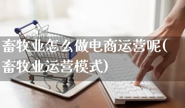 畜牧业怎么做电商运营呢(畜牧业运营模式)_https://www.czttao.com_电商资讯_第1张