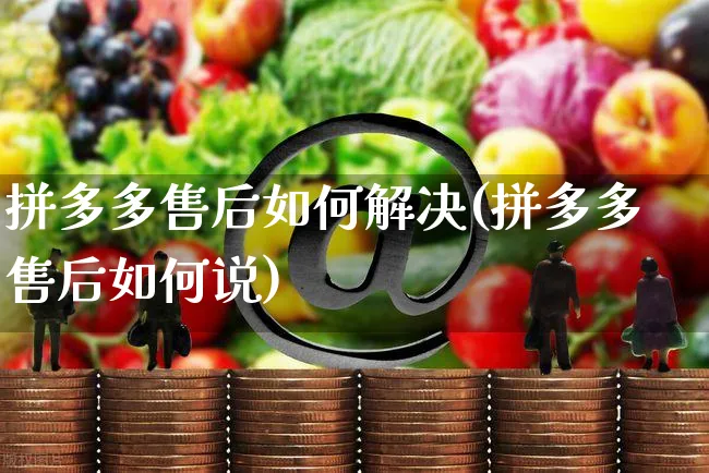 拼多多售后如何解决(拼多多售后如何说)_https://www.czttao.com_京东电商_第1张